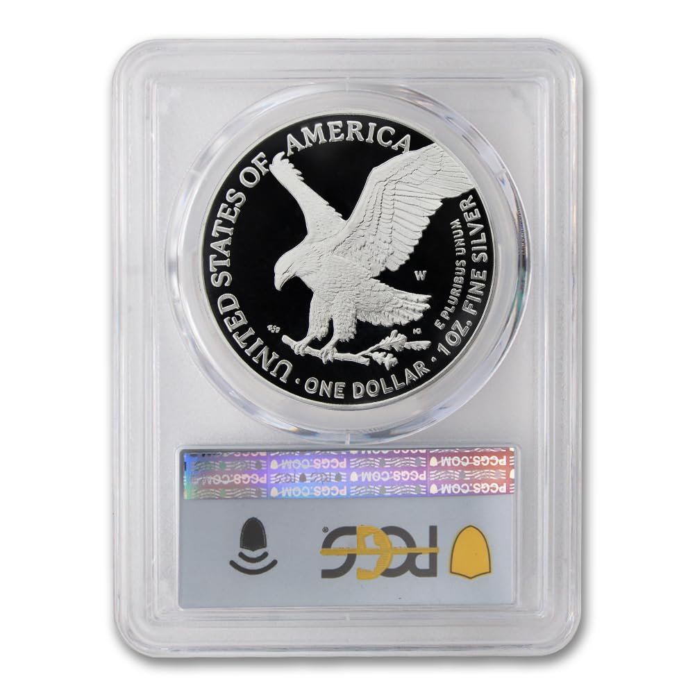 1 oz American Silver Eagle Coin P3747
