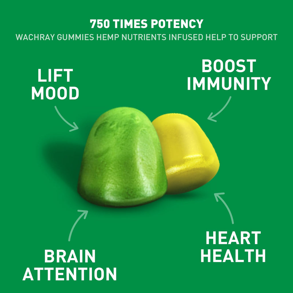 Organic Hemp Gummies 240 Count Z211666