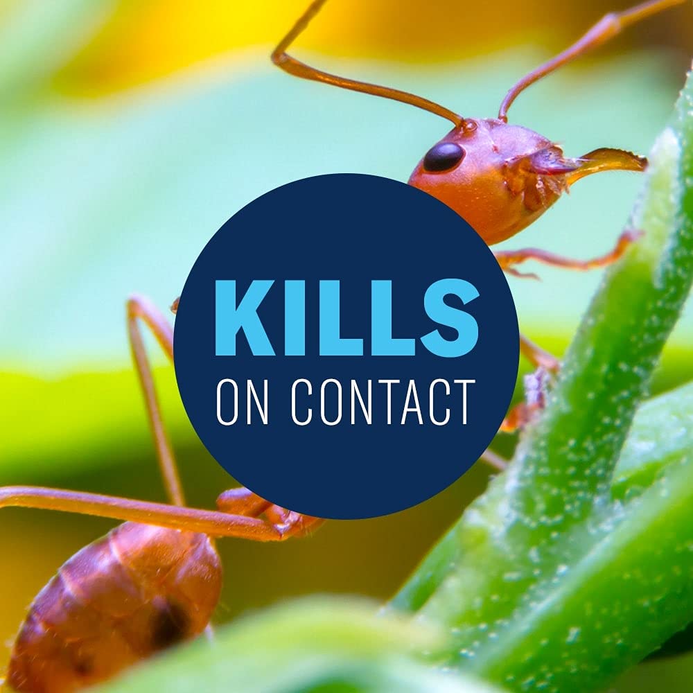 24 Hour Lawn Insect & Fire Ant Killer Ready-to-Spray 32FOZ X9444