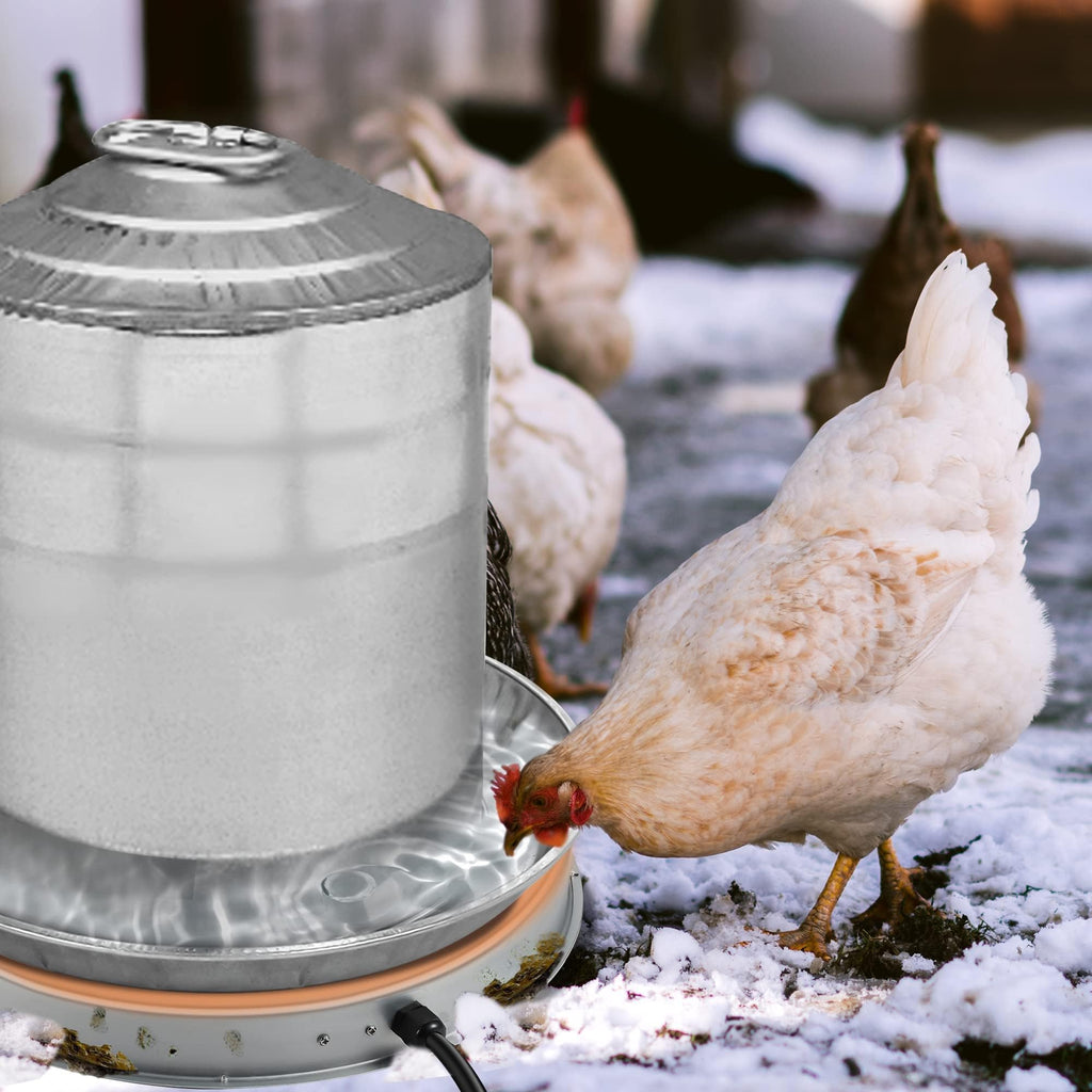Heated Chicken Waterer 5 Gallon 125W N67248