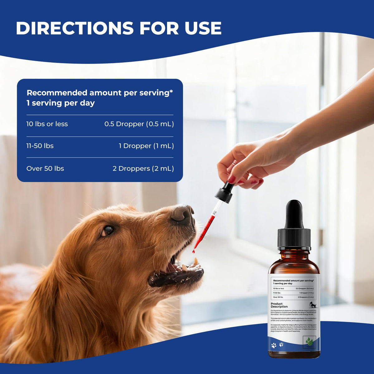Liquid Vitamin B12 & Methylcobalamin Drops U8068
