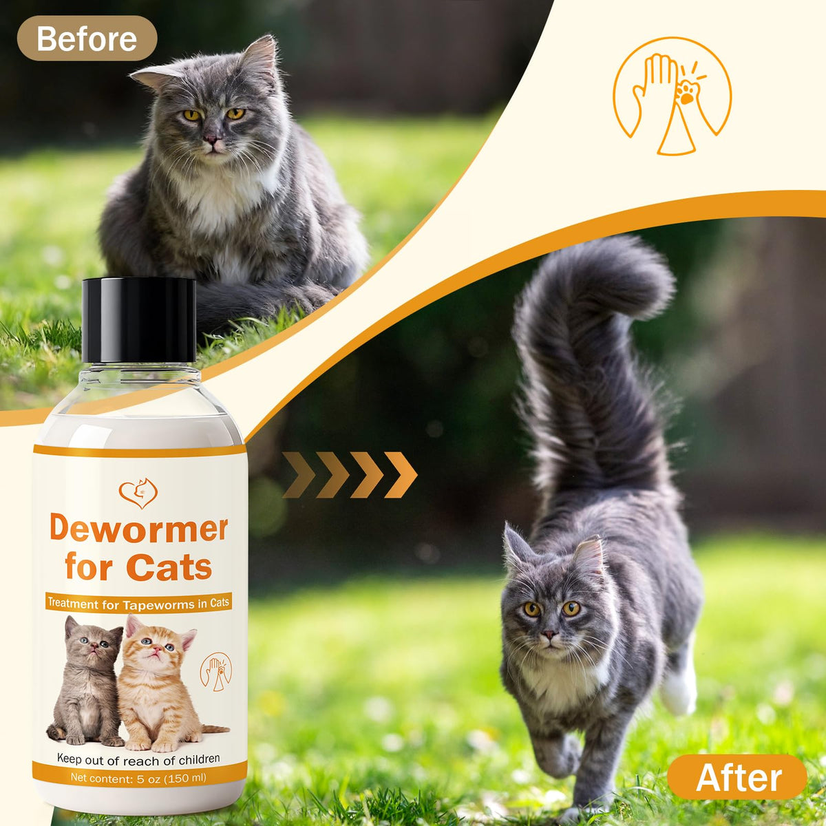 Cat Tapeworm Dewormer C253379