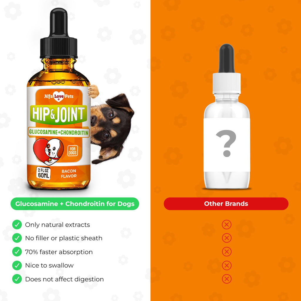 Liquid Glucosamine Chondroitin Dog Supplement 2 oz N209