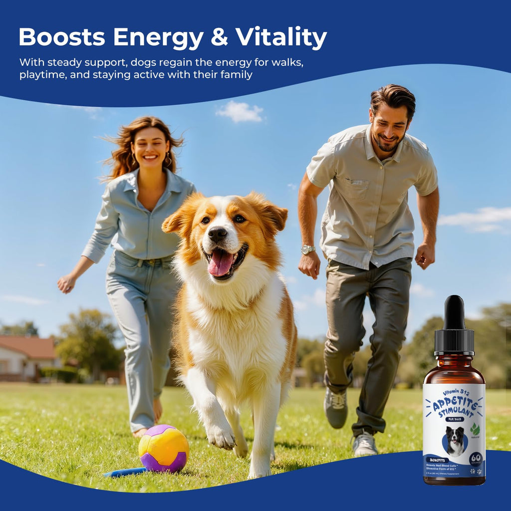 Liquid Vitamin B12 & Methylcobalamin Drops U8068