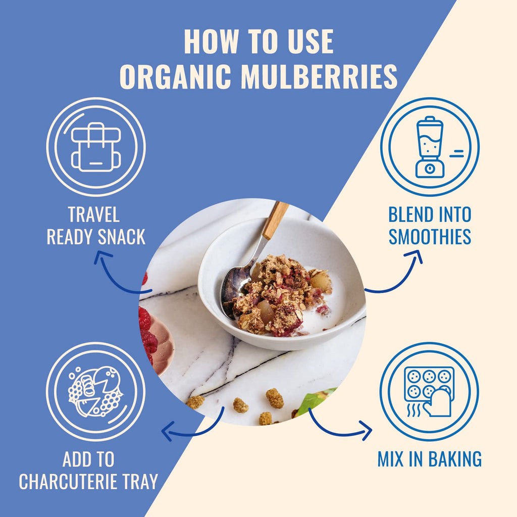 Organic Turkish Dried White Mulberries 3 Bags M74014