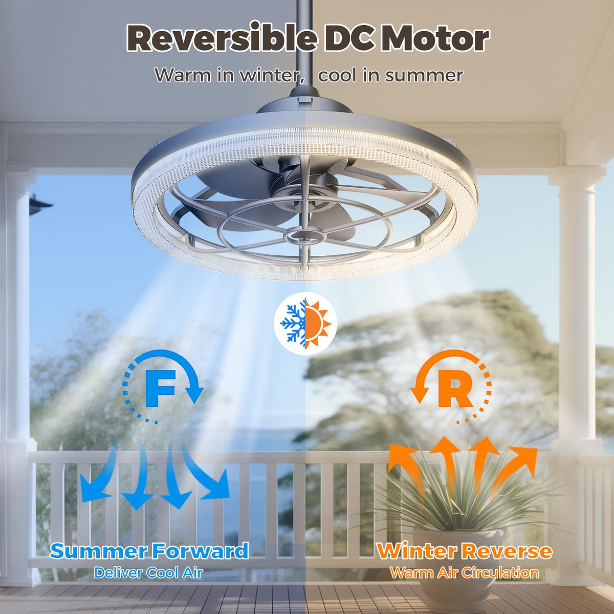 20" Outdoor Ceiling Fan with Light S654