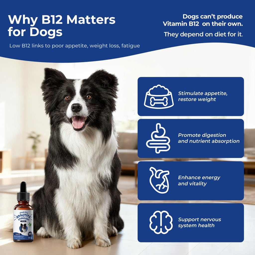 Liquid Vitamin B12 & Methylcobalamin Drops U8068