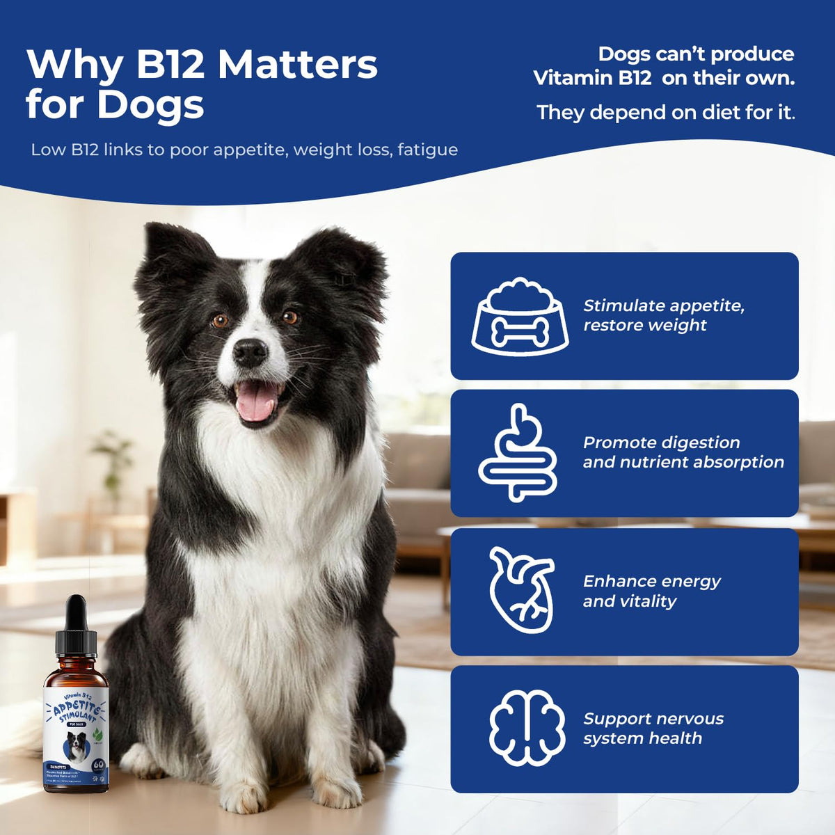 Liquid Vitamin B12 & Methylcobalamin Drops U8068