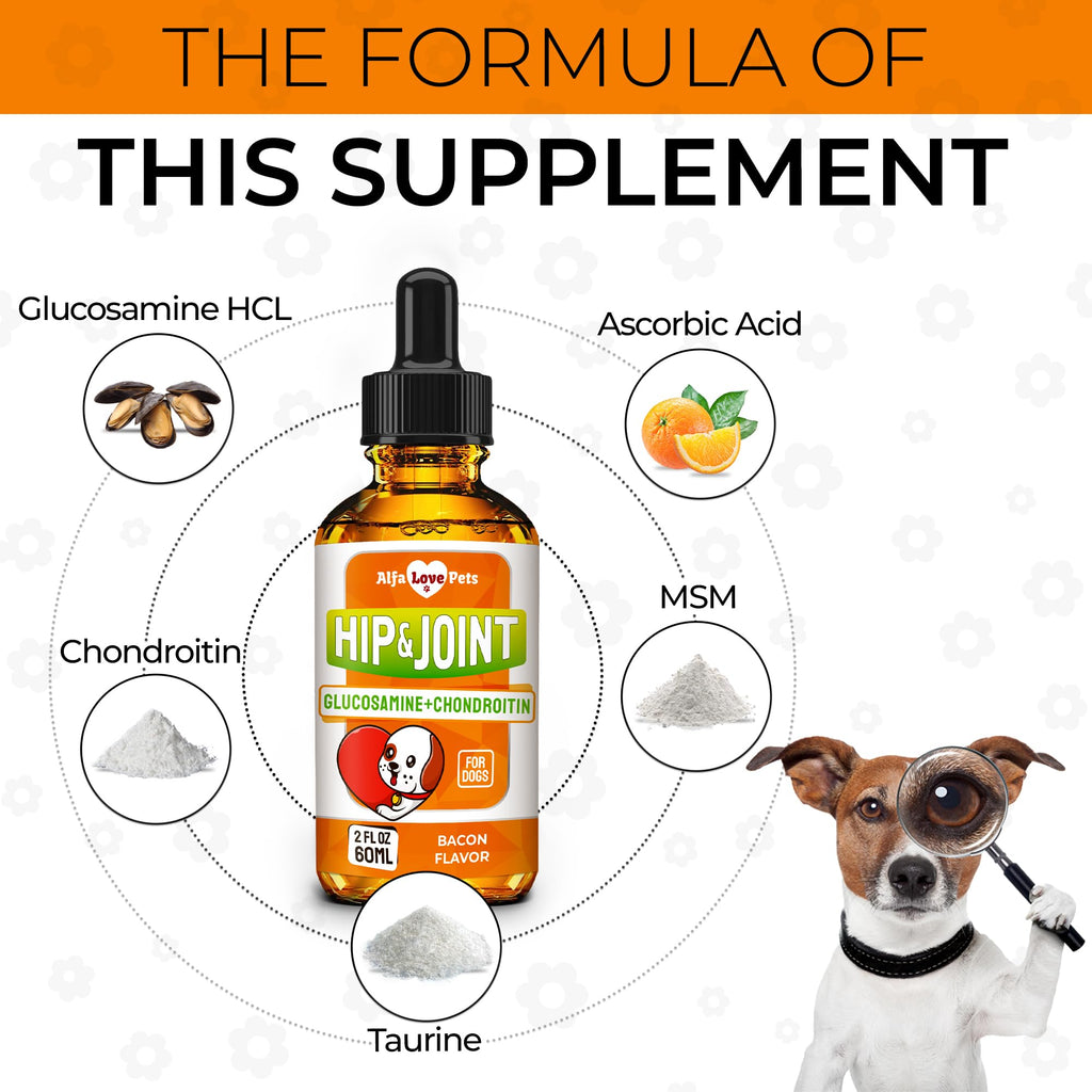 Liquid Glucosamine Chondroitin Dog Supplement 2 oz N209