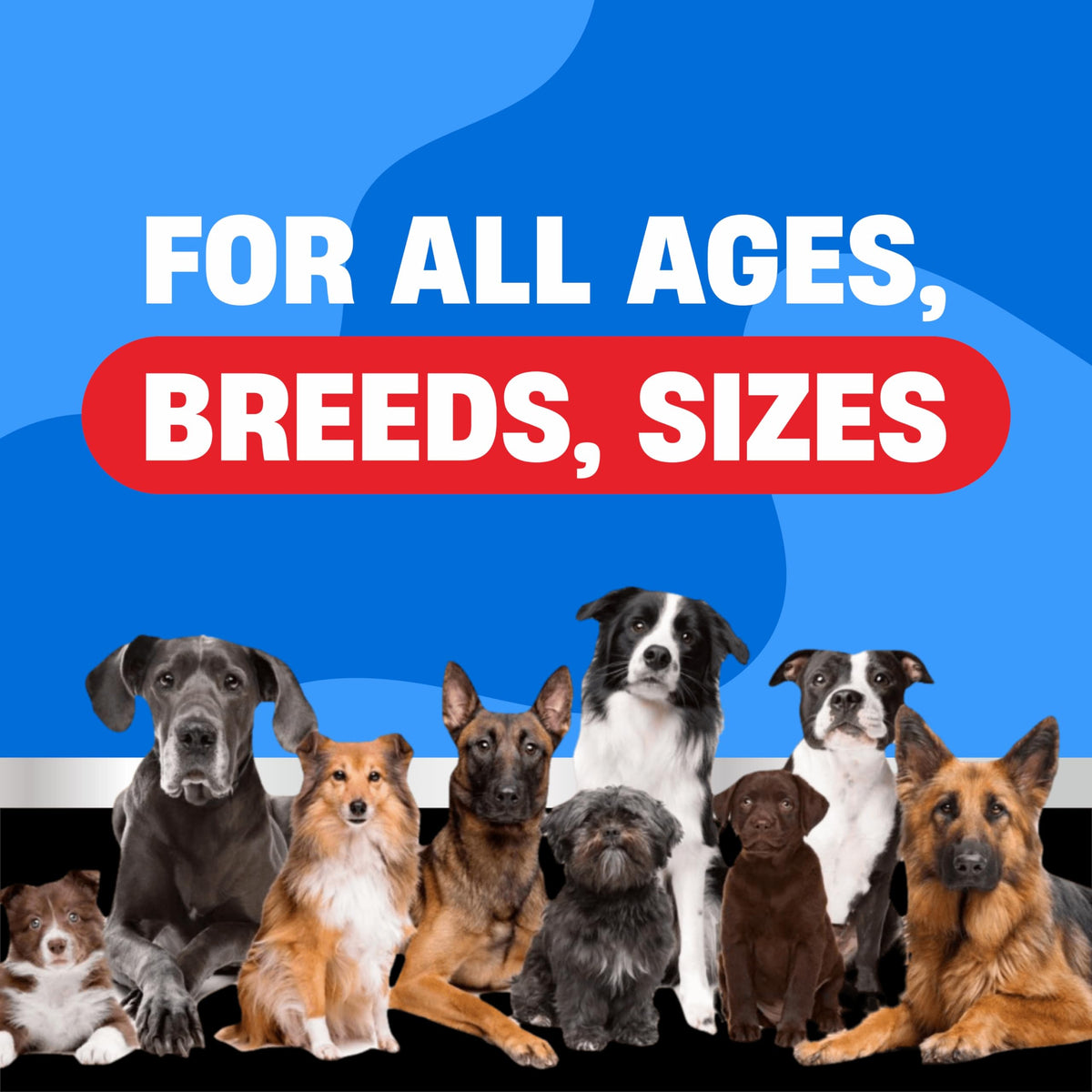 Flea and Tick Chewable Treatment for Dogs T9979