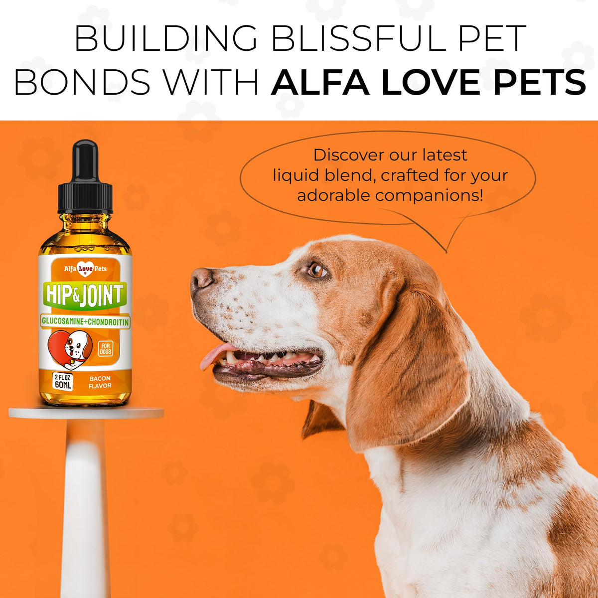 Liquid Glucosamine Chondroitin Dog Supplement 2 oz N209