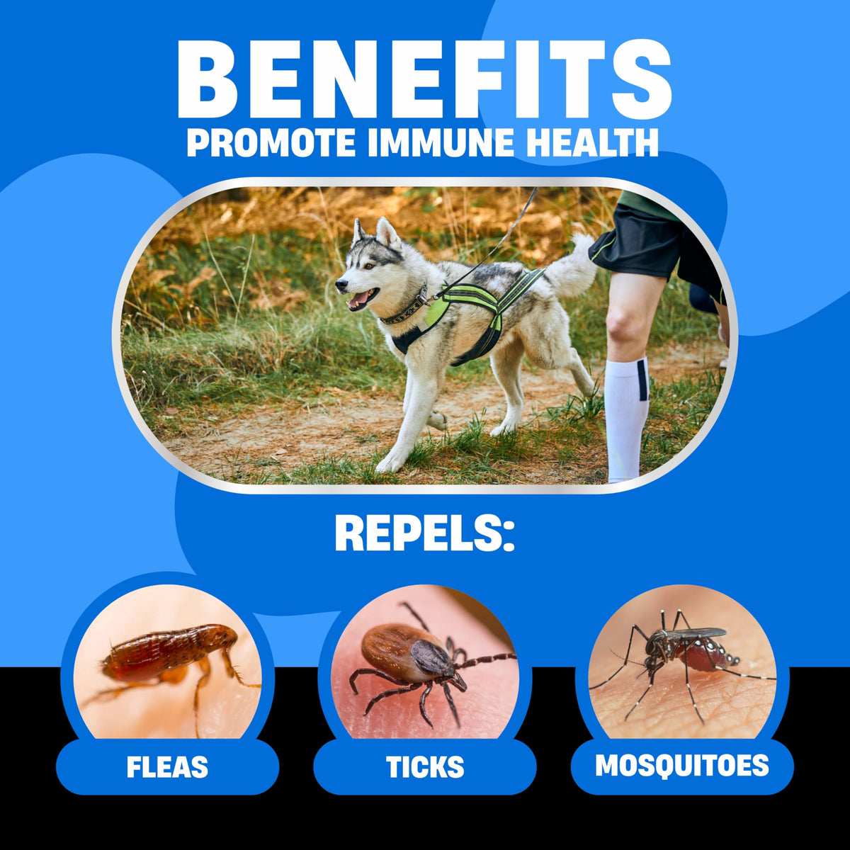 Flea and Tick Chewable Treatment for Dogs T9979