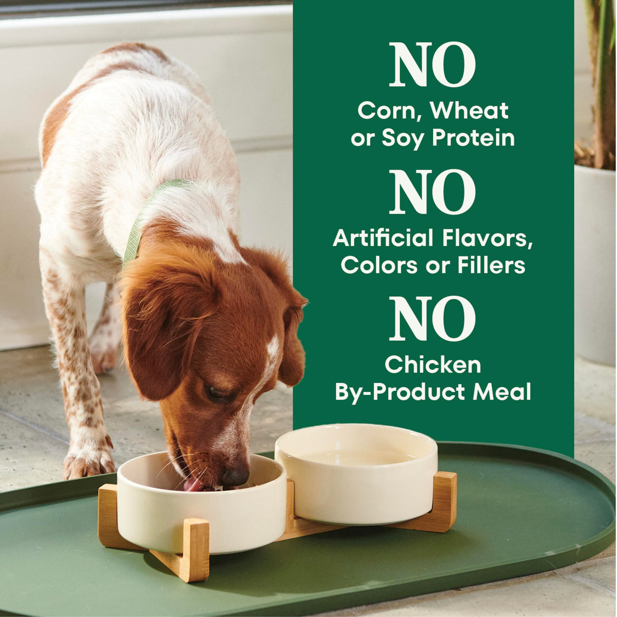 Chicken & Rice Dry Dog Food G43141