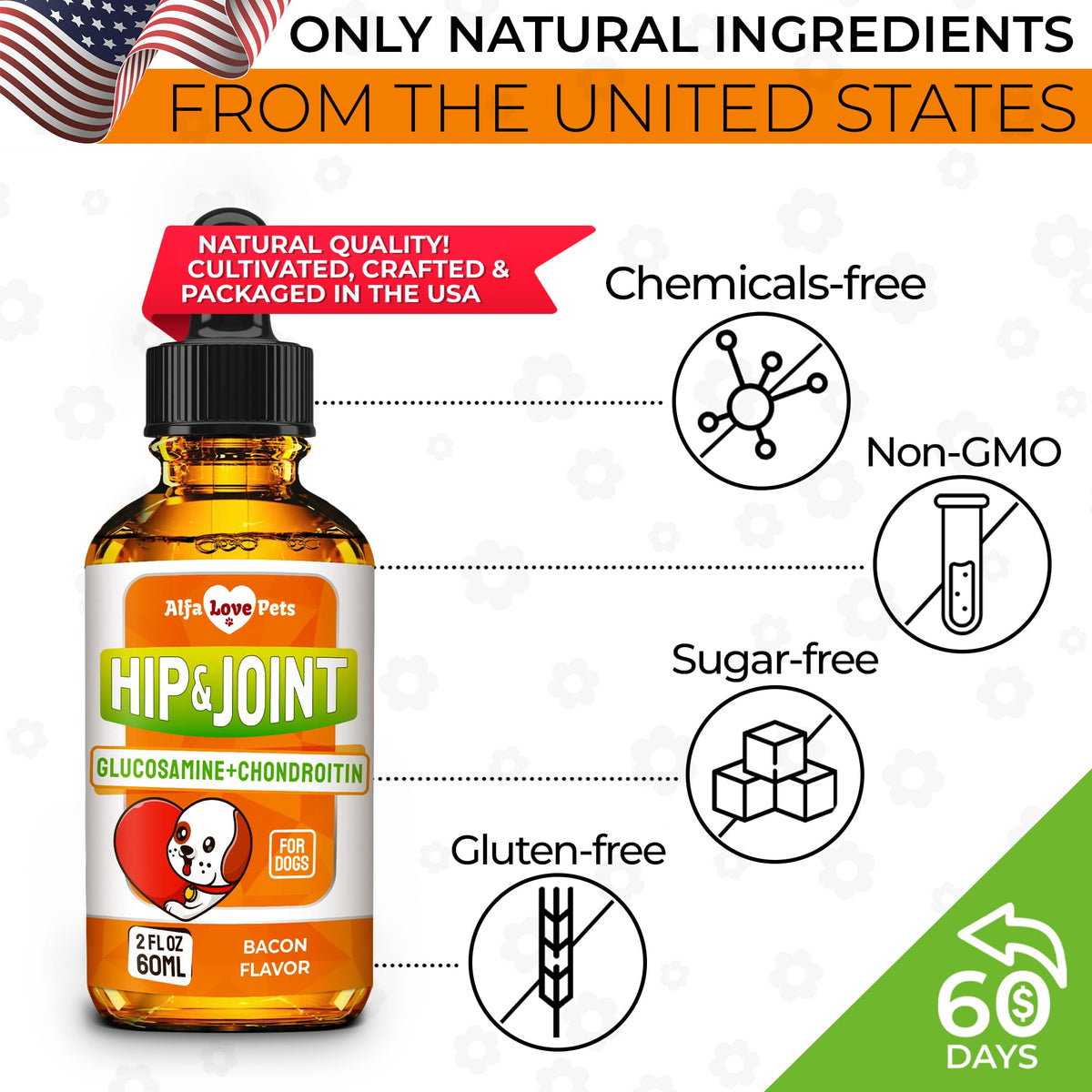 Liquid Glucosamine Chondroitin Dog Supplement 2 oz N209