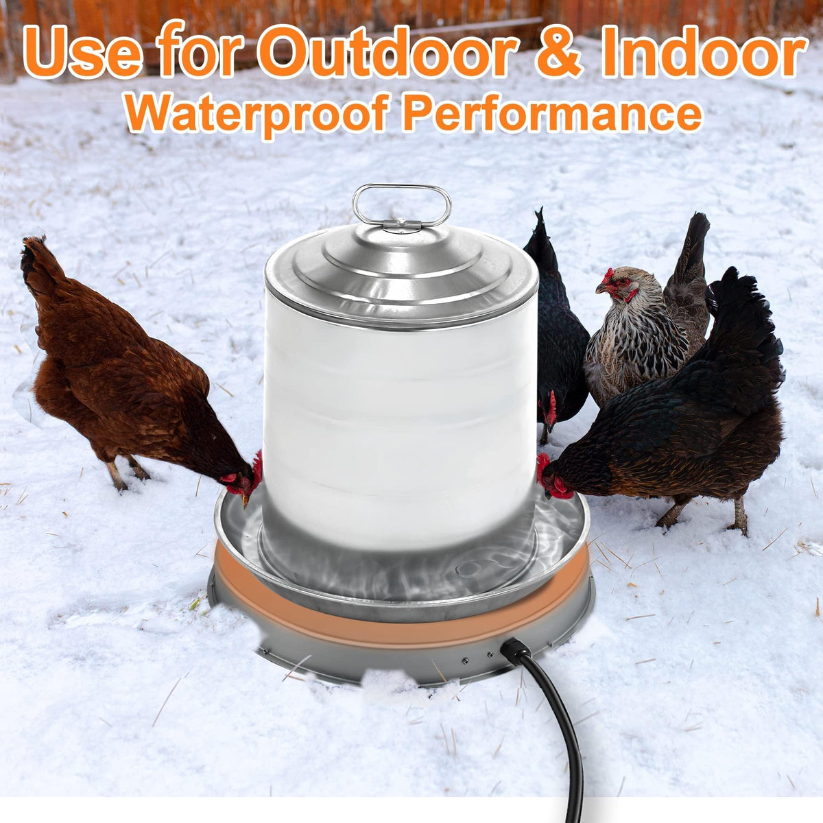 Heated Chicken Waterer 5 Gallon 125W N67248