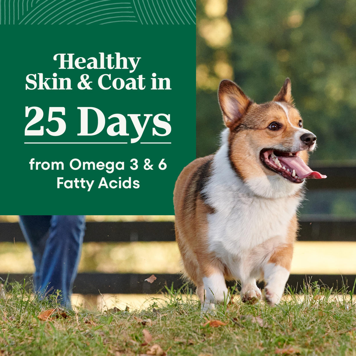 Chicken & Rice Dry Dog Food G43141