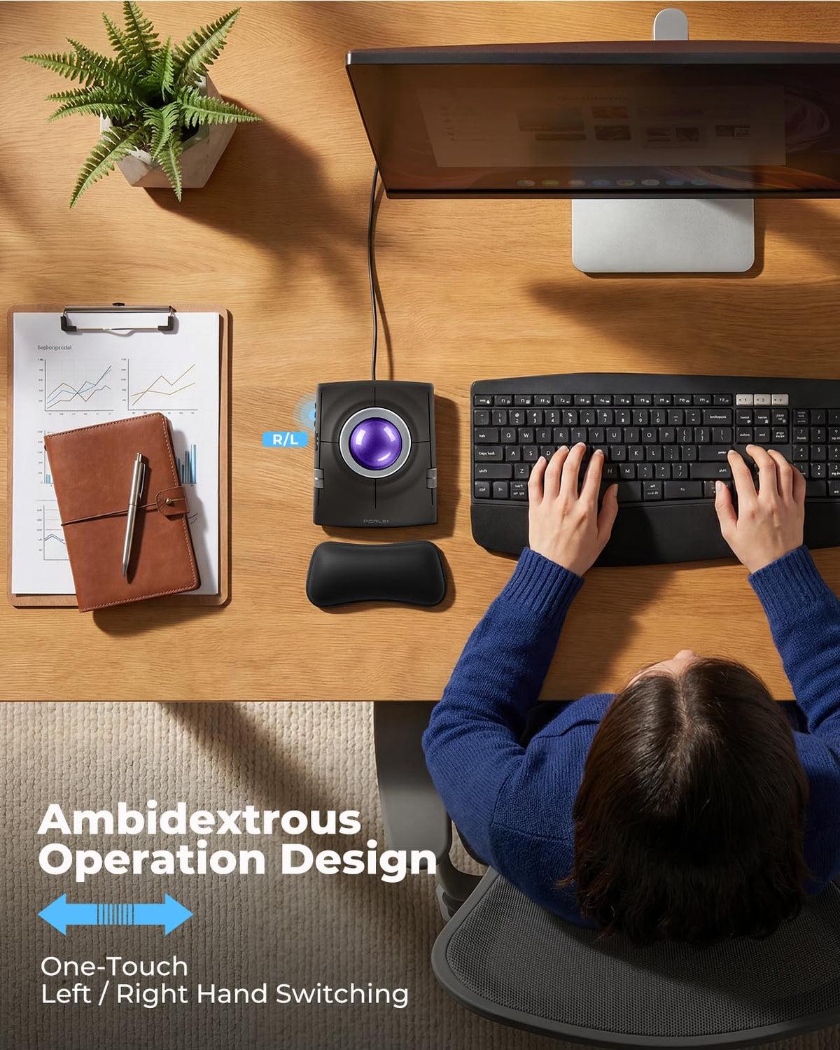 Wired Ergonomic Trackball Mouse V321
