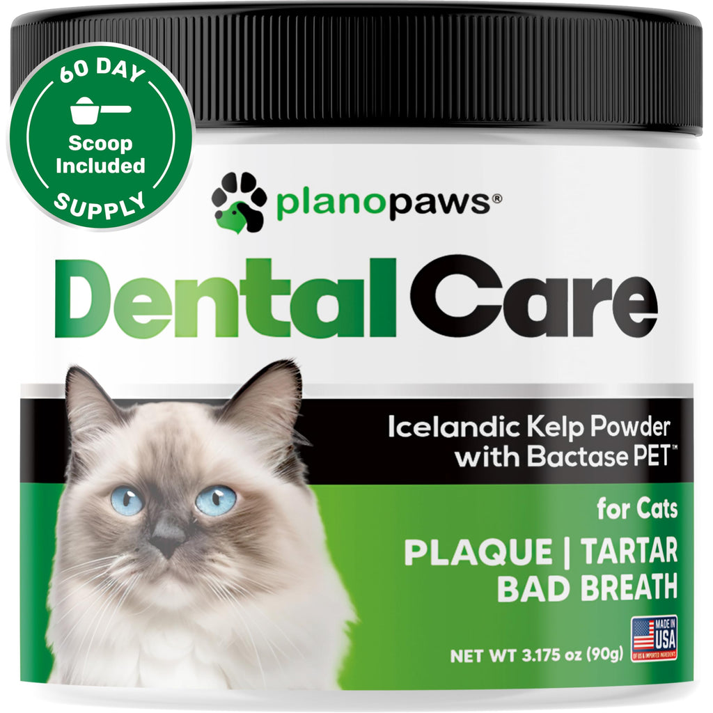 Dental Powder for Teeth Cleaning C15243