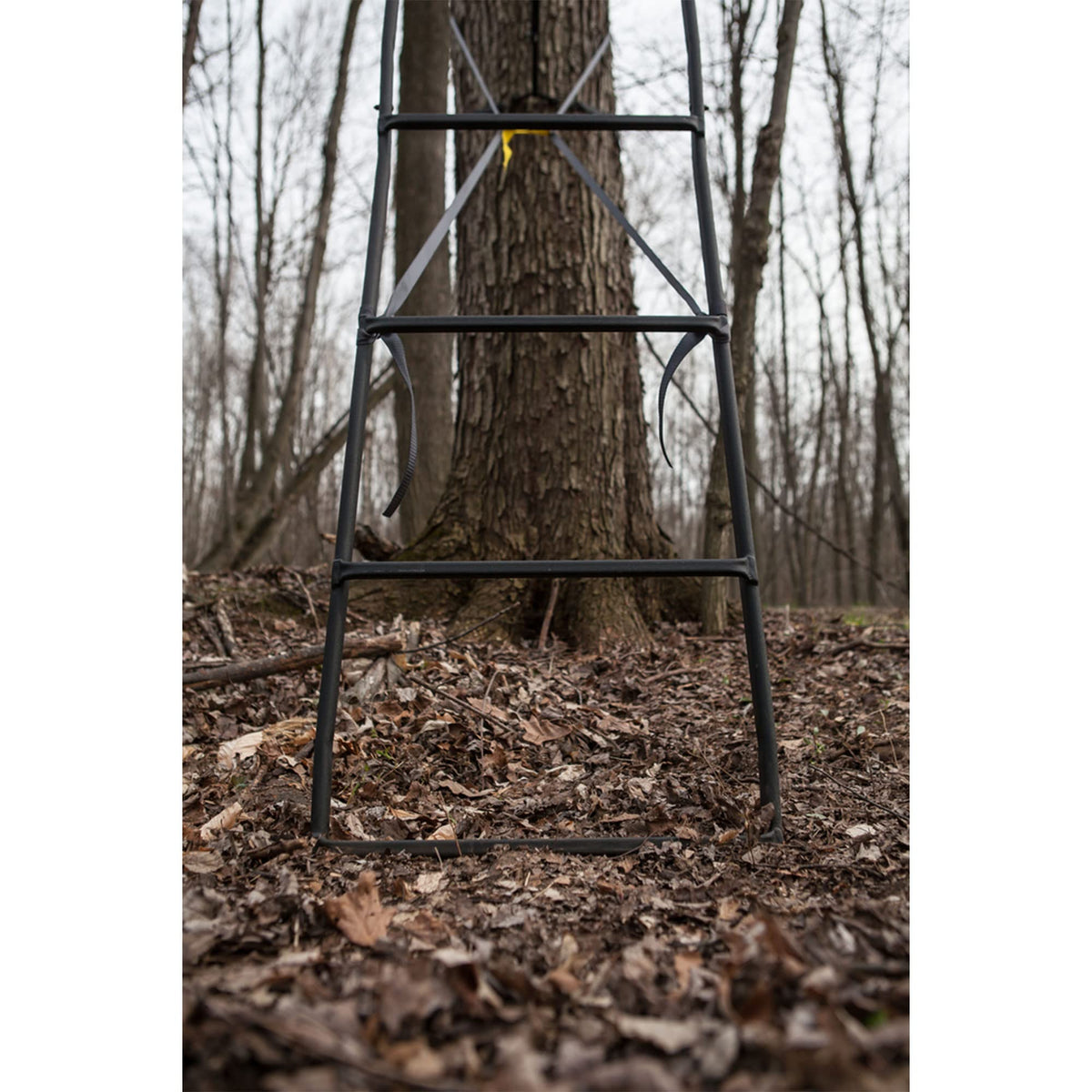 Ladderstand with Wide Seat, Backrest and Weapon Holder O7050