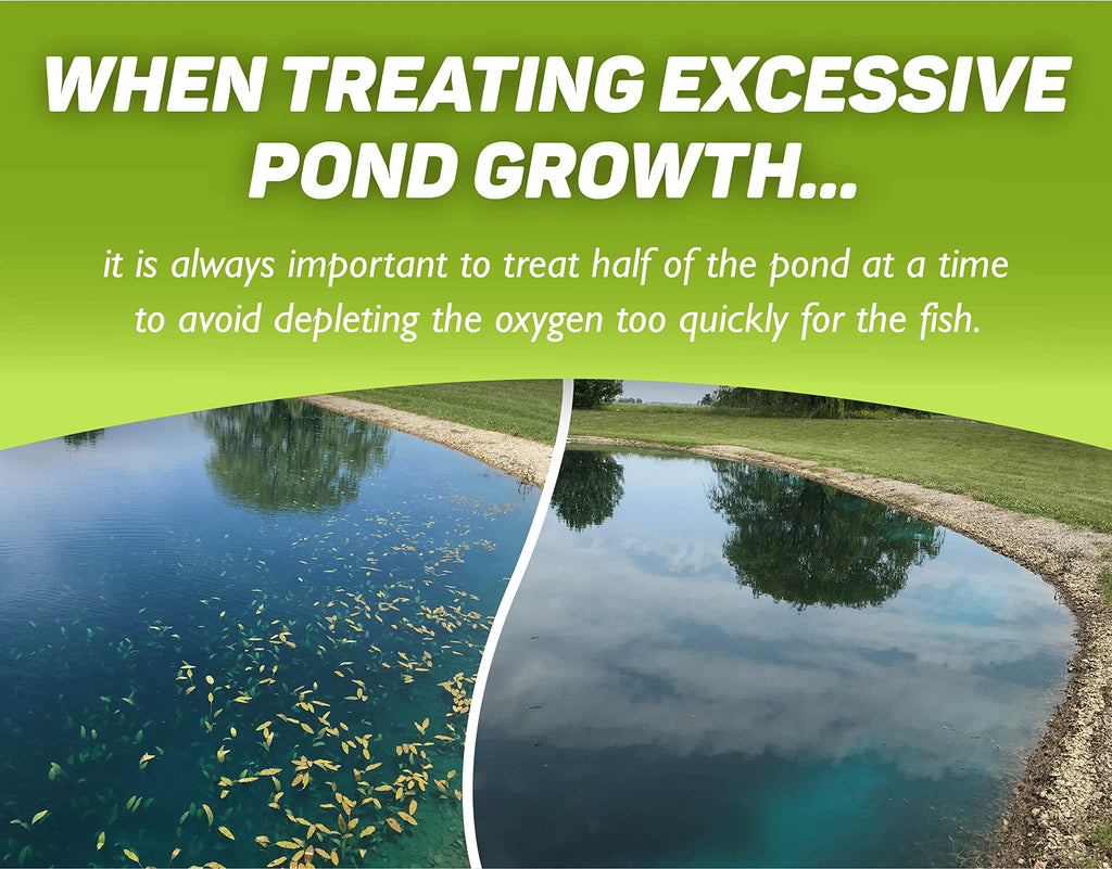 Concentrated Aquatic Herbicide for Lakes and Ponds G771