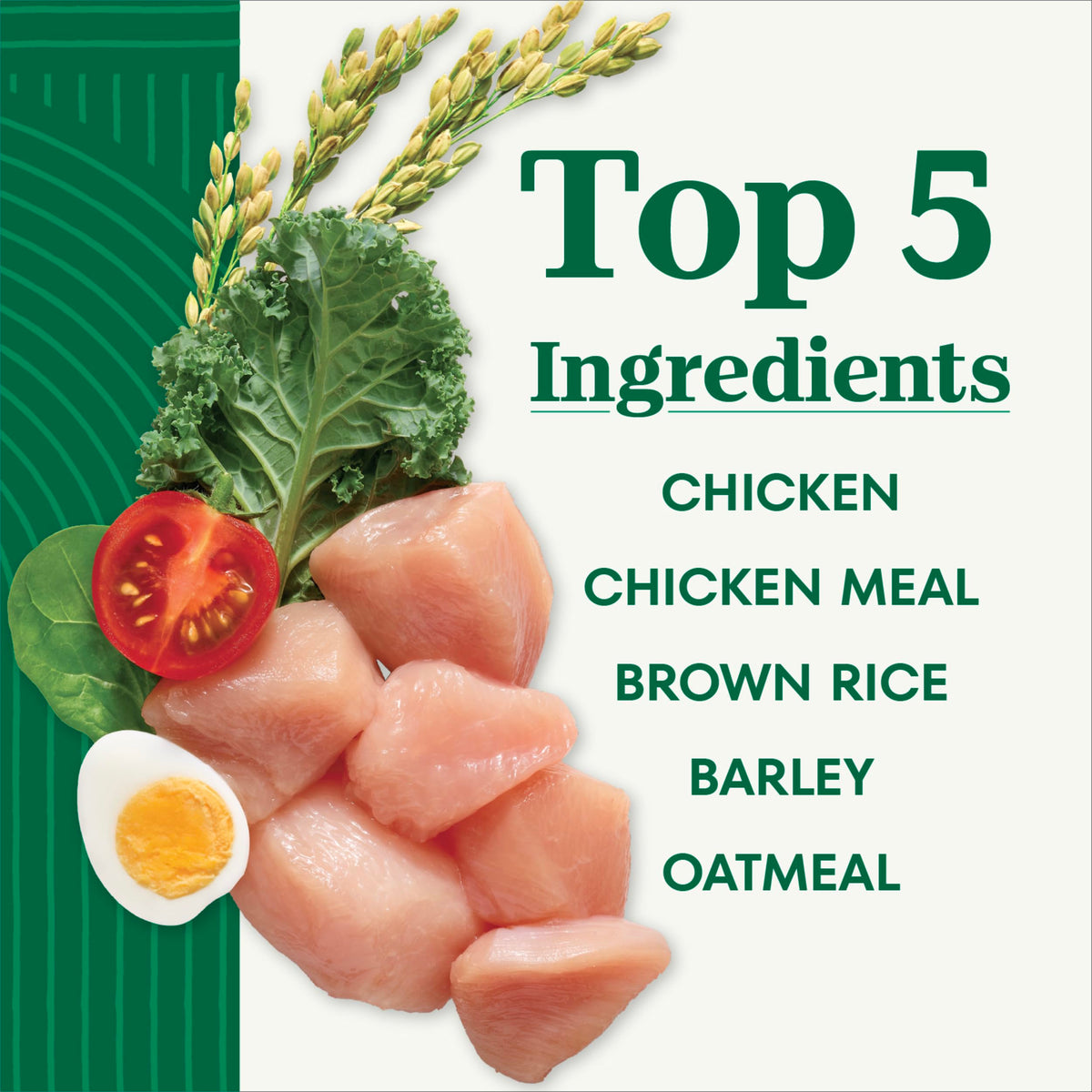 Chicken & Rice Dry Dog Food G43141
