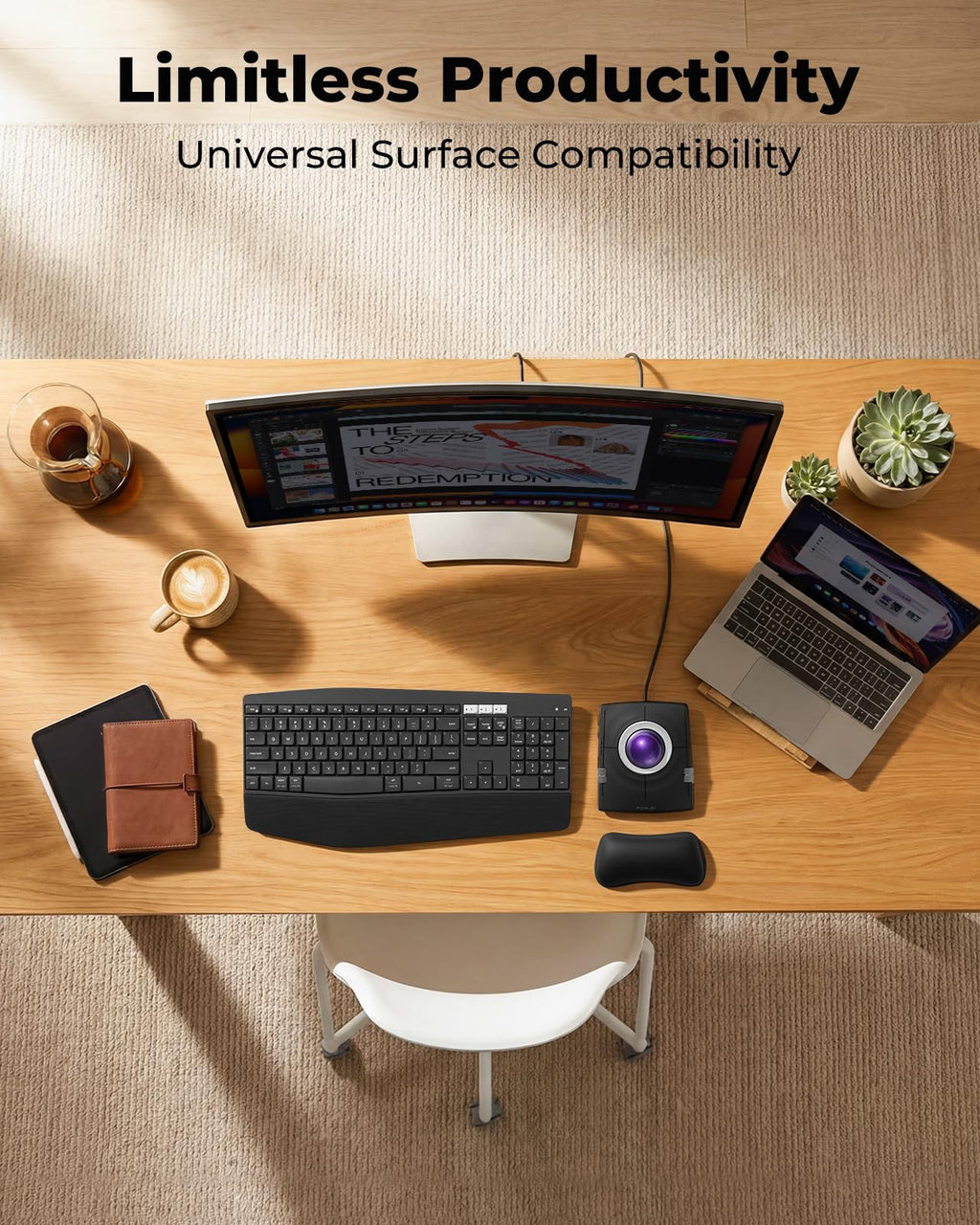 Wired Ergonomic Trackball Mouse V321