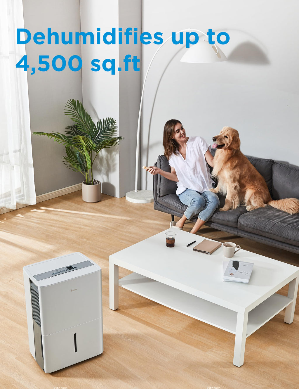 50 Pint Dehumidifier with Pump H35060