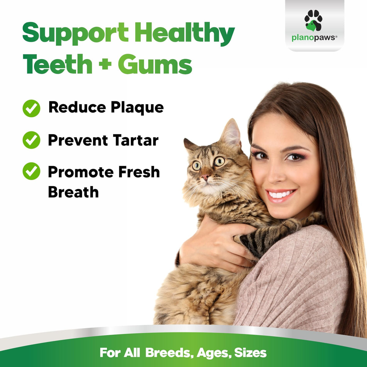 Dental Powder for Teeth Cleaning C15243