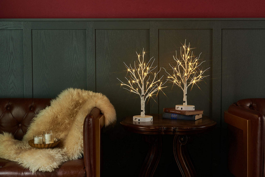 Lighted Birch Tree with Timer 18IN 24 LED C93660