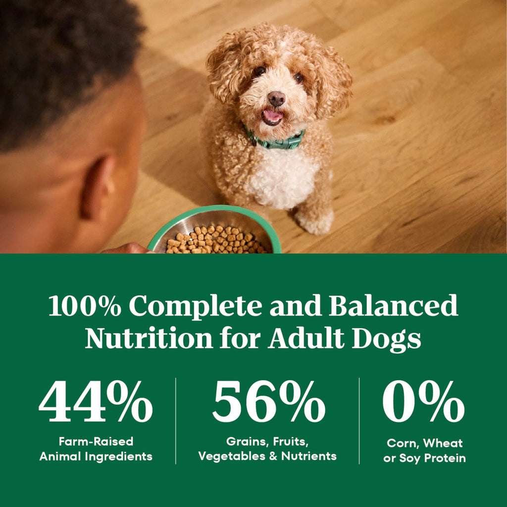 Chicken & Rice Dry Dog Food G43141