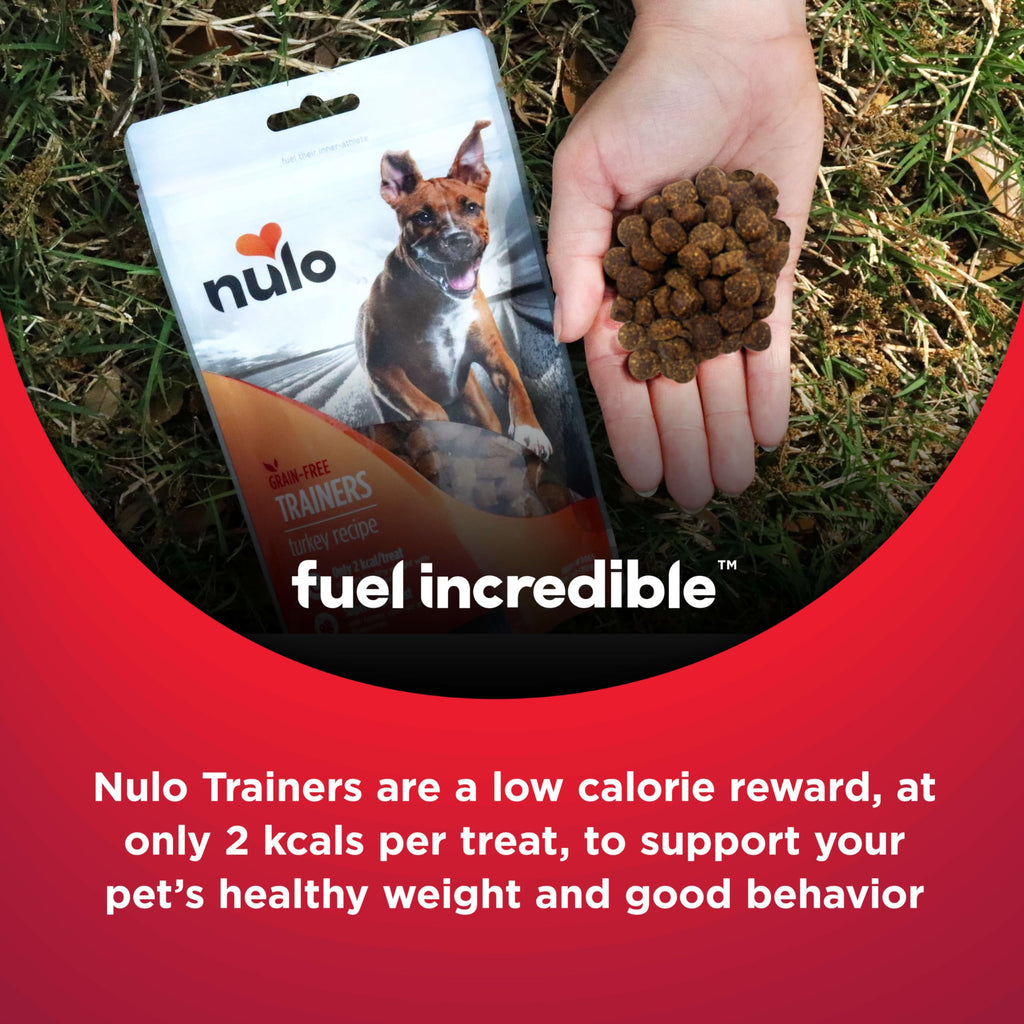 Turkey Recipe Grain-Free Low-Calorie Dog & Puppy Training Treats, 16 Ounce Pouch D295