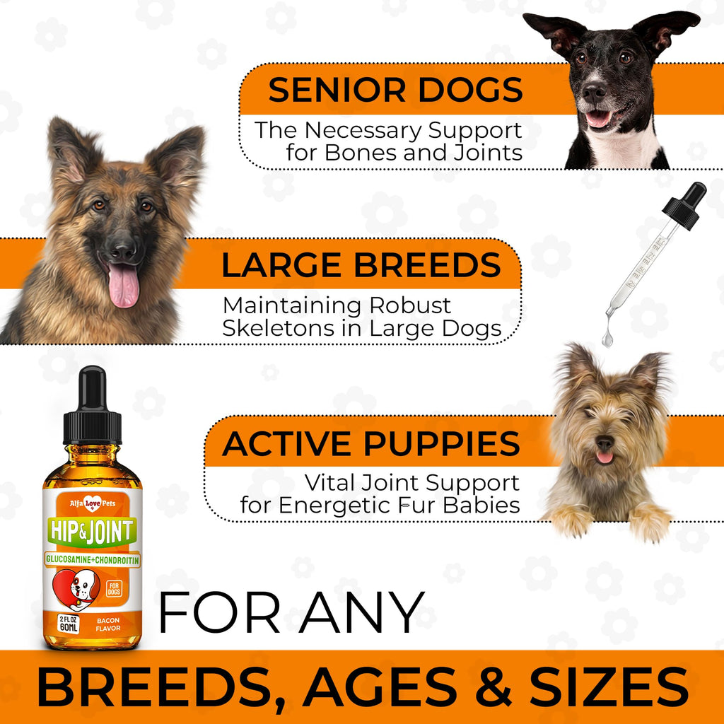Liquid Glucosamine Chondroitin Dog Supplement 2 oz N209