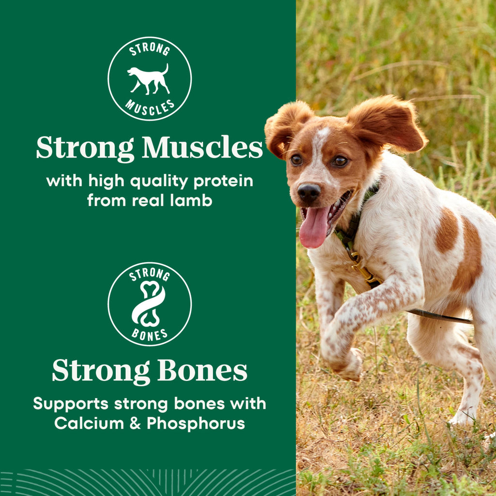 Chicken & Rice Dry Dog Food G43141