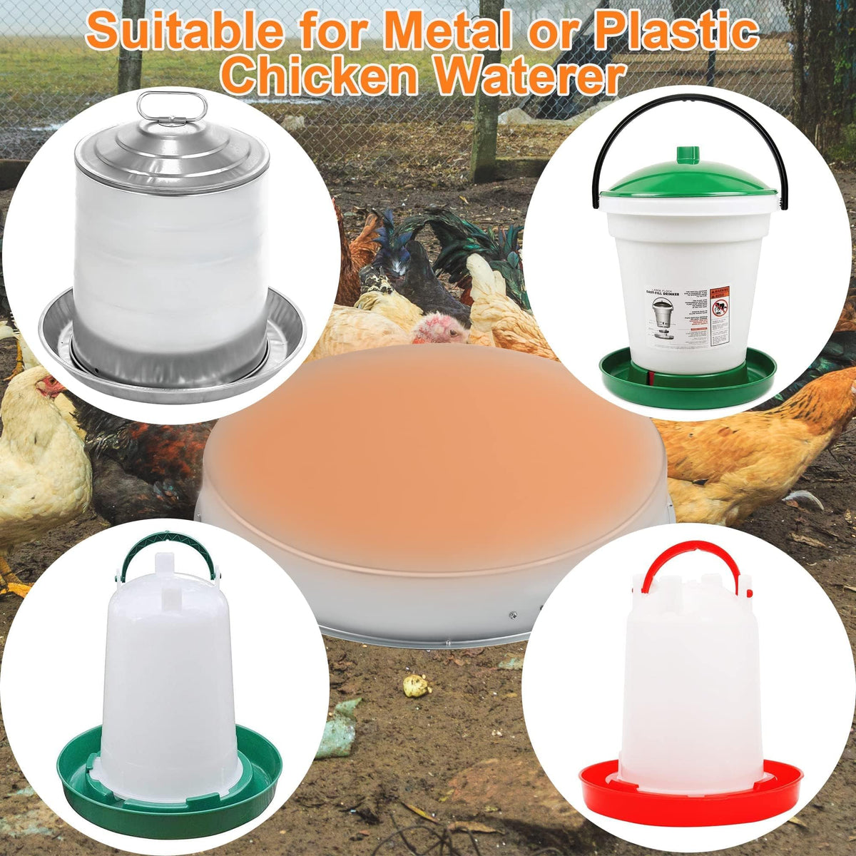 Heated Chicken Waterer 5 Gallon 125W N67248