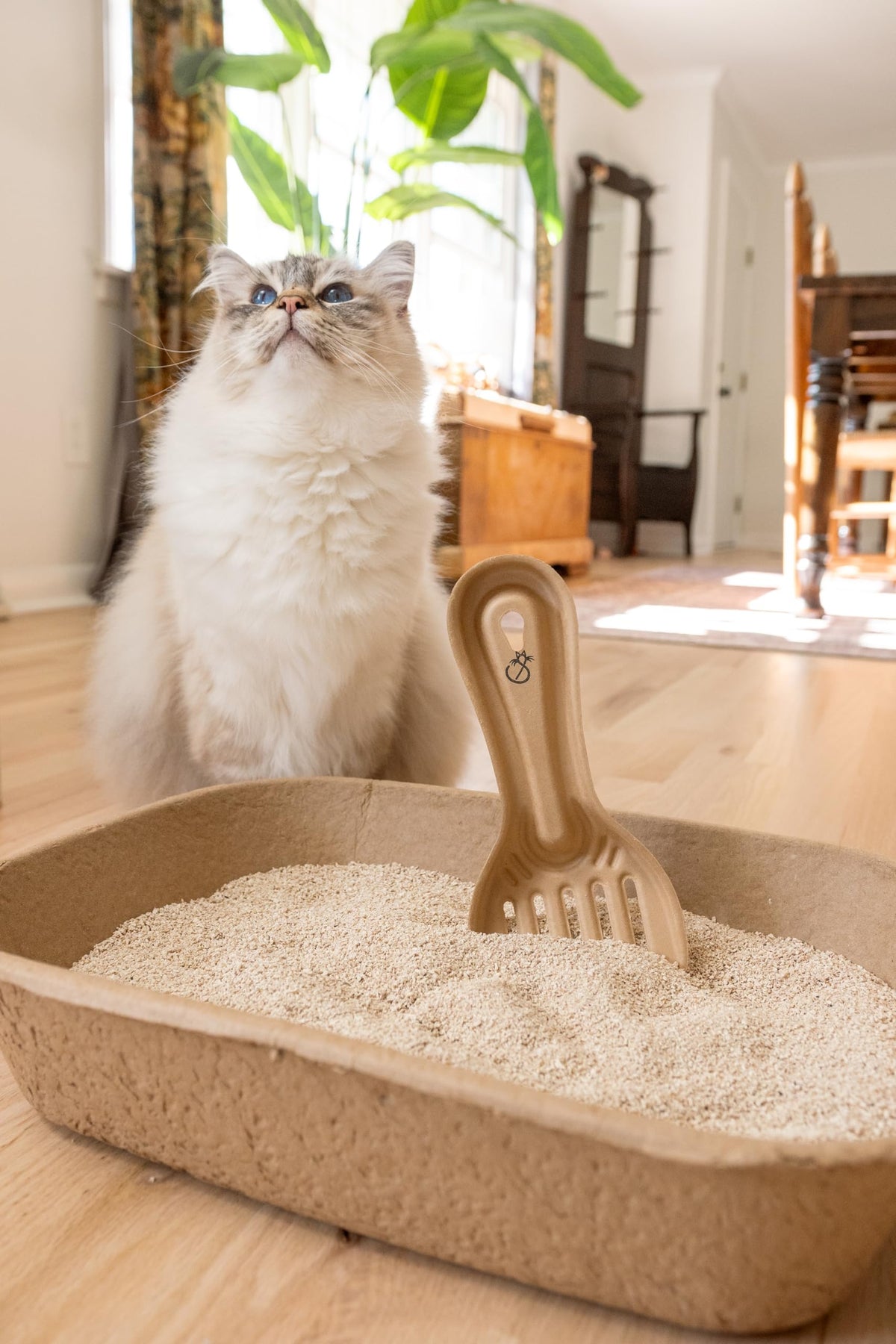 Disposable Cat & Rabbit Litter Scoops 6-Pack O266