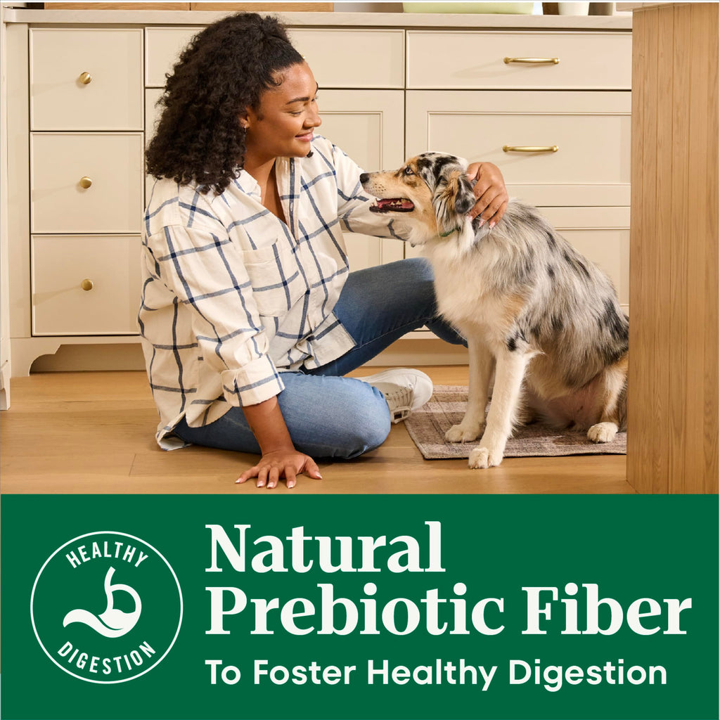 Chicken & Rice Dry Dog Food G43141