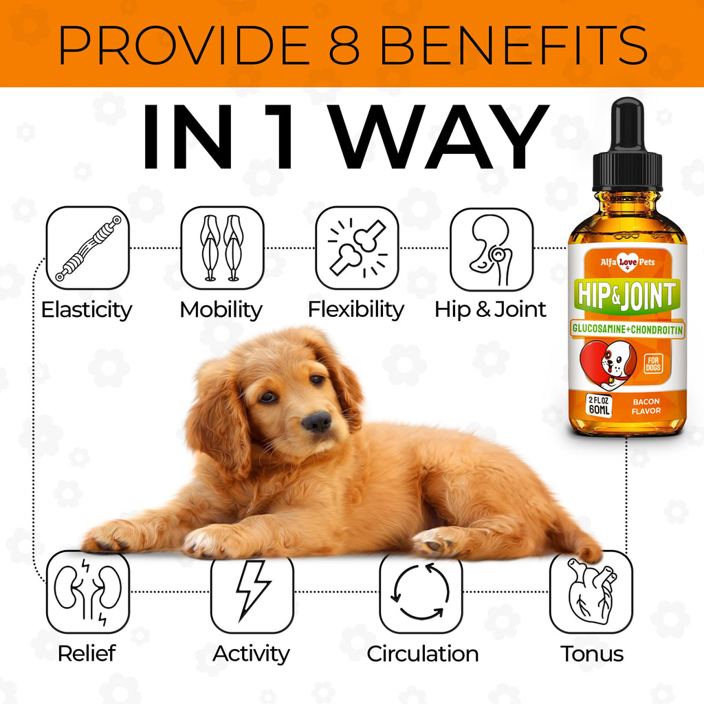 Liquid Glucosamine Chondroitin Dog Supplement 2 oz N209