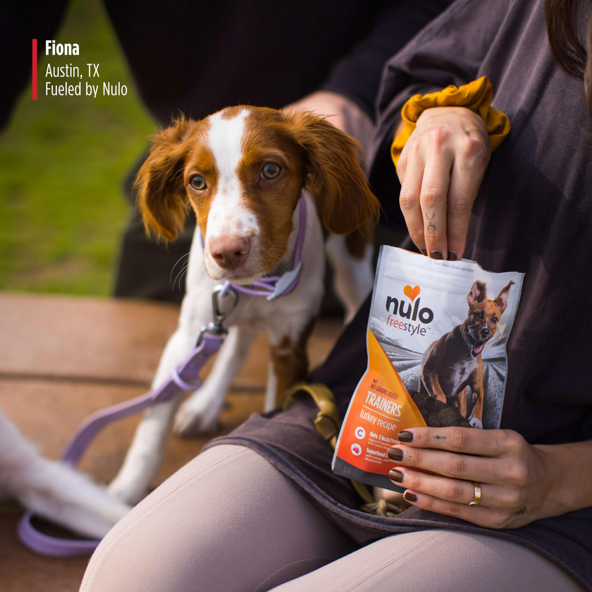 Turkey Recipe Grain-Free Low-Calorie Dog & Puppy Training Treats, 16 Ounce Pouch D295