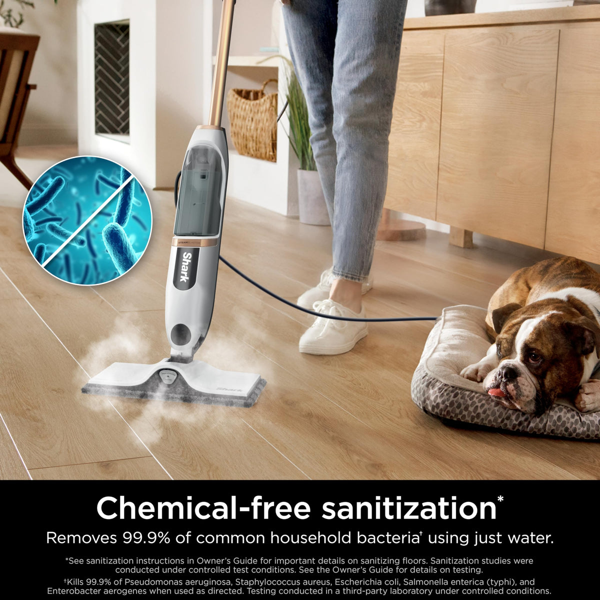 Steam Mop with 3 Steam Modes, 2 Washable Pads Z23163