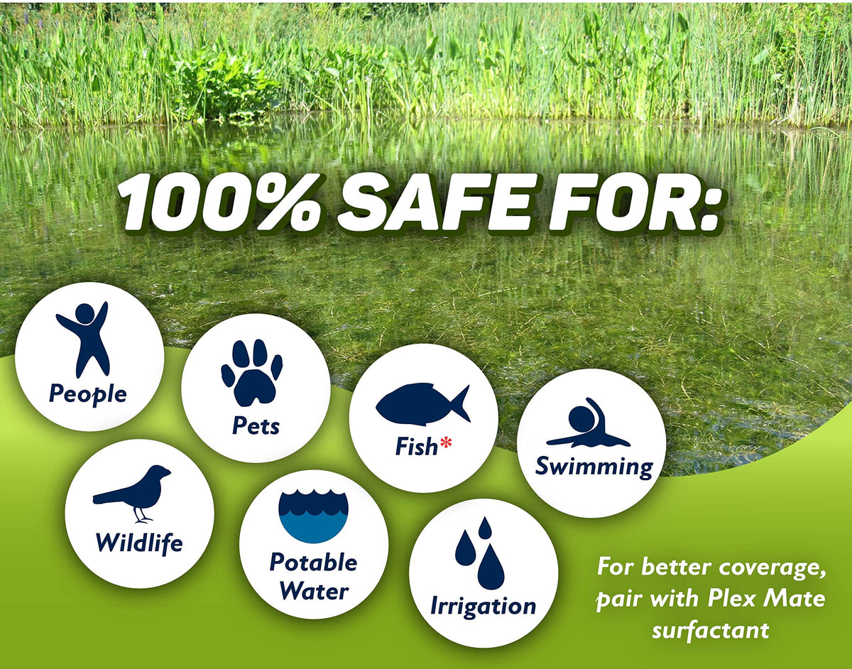 Concentrated Aquatic Herbicide for Lakes and Ponds G771